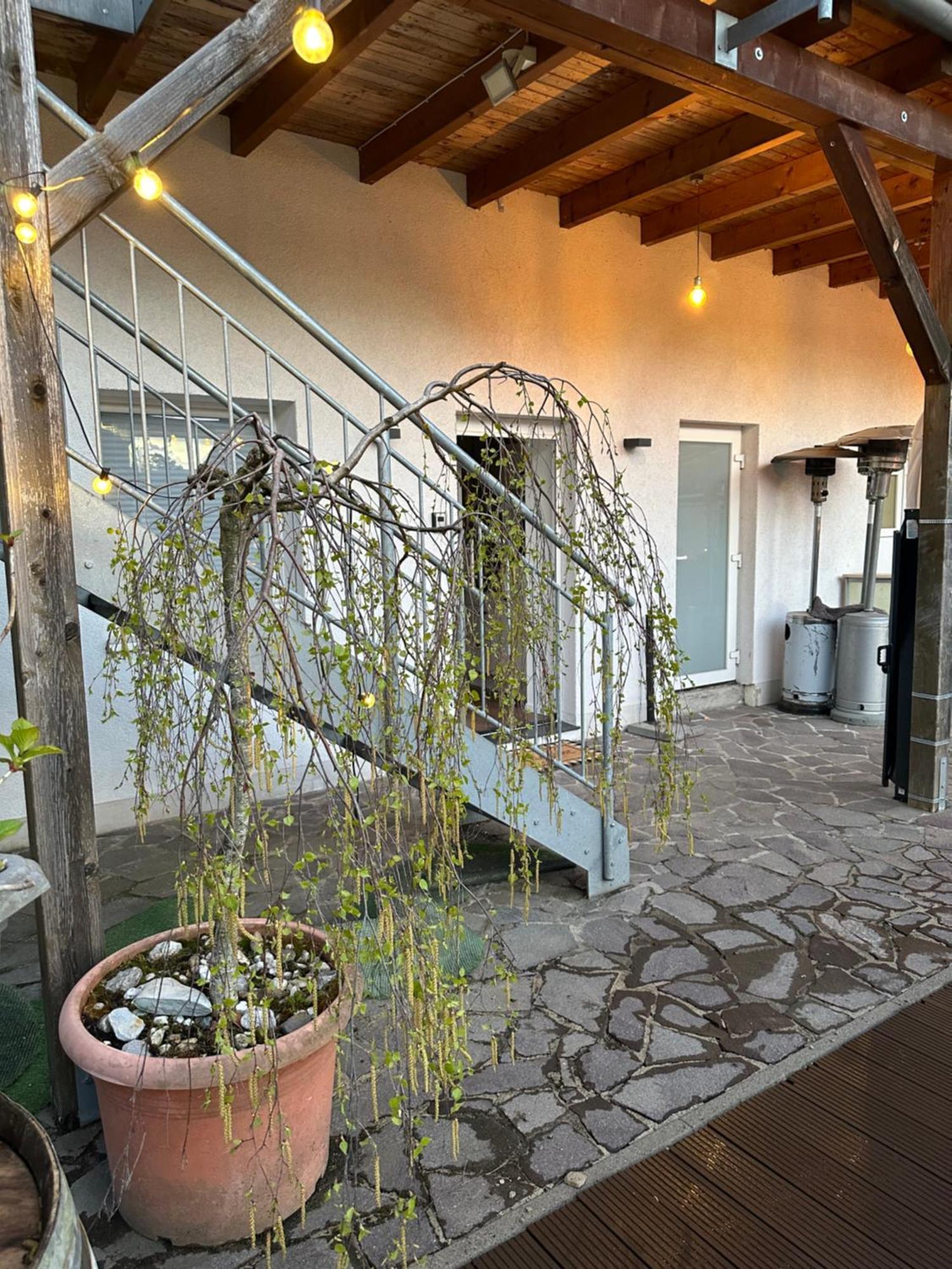 Mola Apartments-Apartment Im Herdecker Zentrum Fuer 3 Gaeste-Gratis Parkplatz-Highspeed Wlan-Auch Fuer Langzeit Geeignet מראה חיצוני תמונה